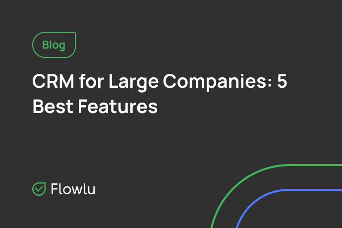 How Large Companies Use Flowlu