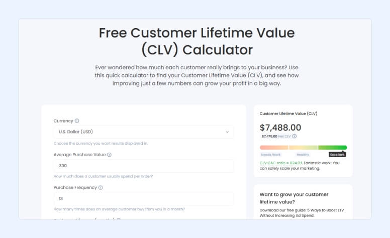 CLV Calculator Screenshot