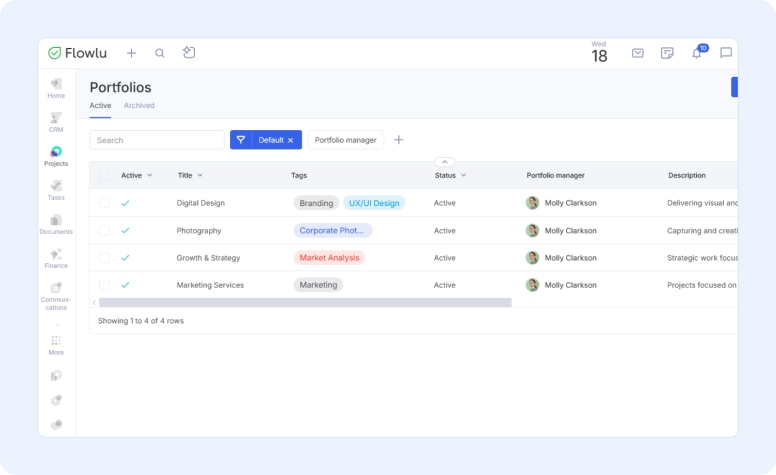 Project portfolio tags
